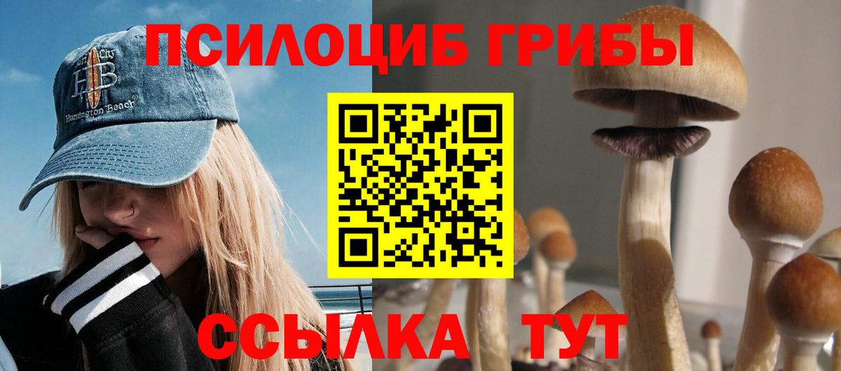 Галлюциногенные грибы мицелий Усть-Джегута