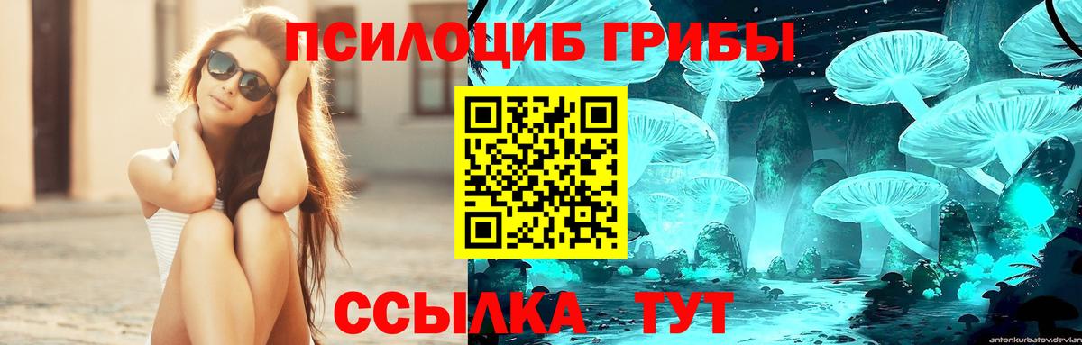 Псилоцибиновые грибы Cubensis  Вход с VPN  Усть-Джегута  наркотики  Псилоцибиновые грибы мицелий 
